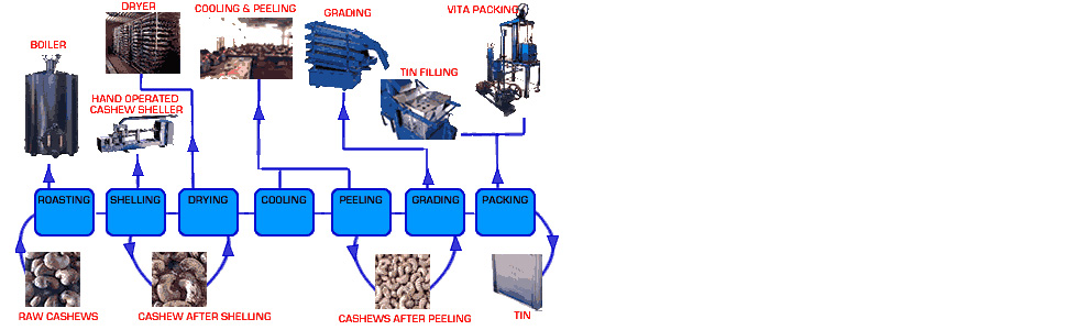 Cashew Processing Job Work